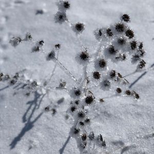 Meet your Posher, Ali